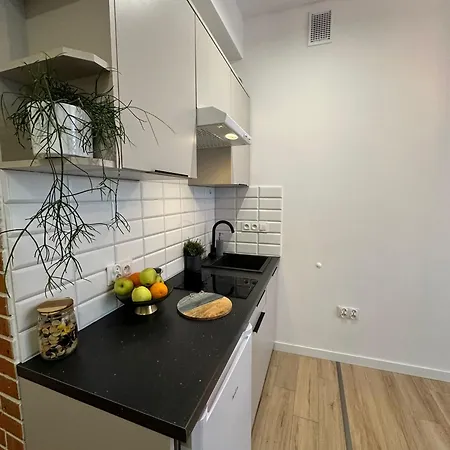Apartment Salwator *